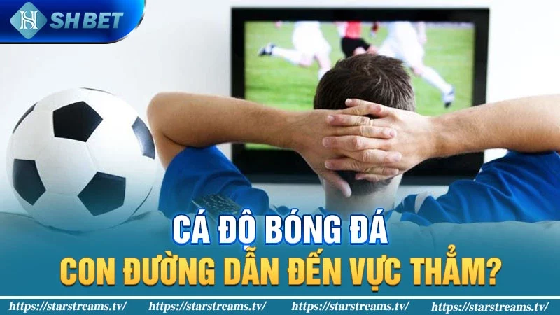 #6 lý do khiến bạn thường thua trong cá độ bóng đá 4 Cá độ bóng đá: Con đường dẫn đến vực thẳm?